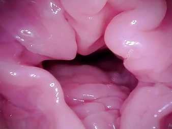 Keep in view Whirlwind Coaster's Labia realize a camera in POV - A hymen fetish video!